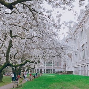 Meet your Posher, Evelyn